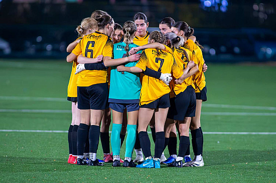 Three Bridges Fc vs Burgess Hill Town